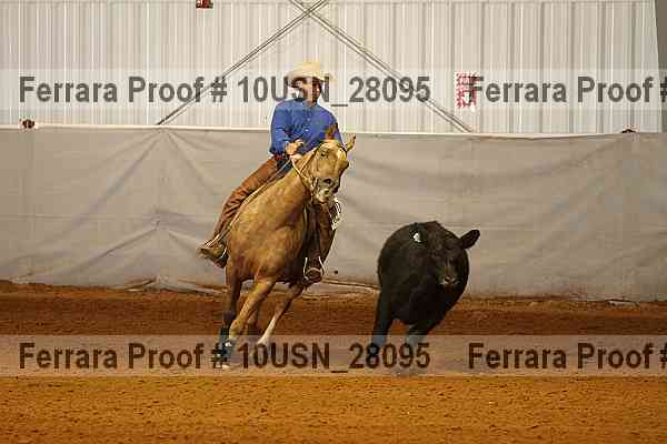 Proof 10usn_28095