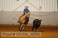 10usn_28095 proof