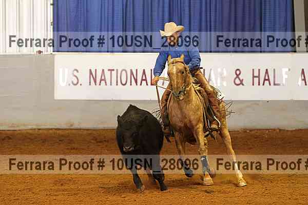 Proof 10usn_28096
