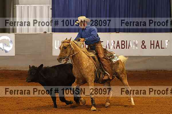 Proof 10usn_28097