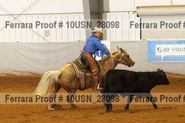 Proof 10usn_28098