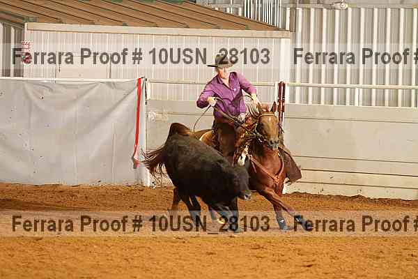 Proof 10usn_28103