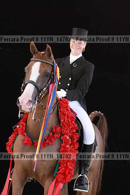 Proof 11yn_14702