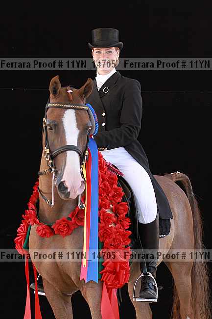 Proof 11yn_14705