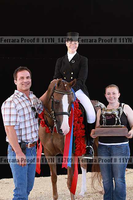 Proof 11yn_14709