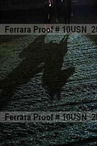 Proof 10usn_25079