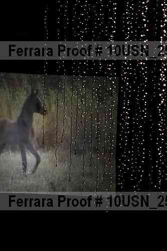 Proof 10usn_25872
