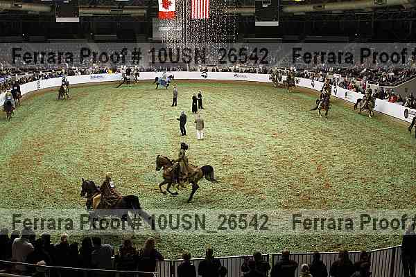 Proof 10usn_26542