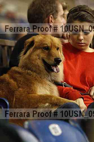 Proof 10usn_09070