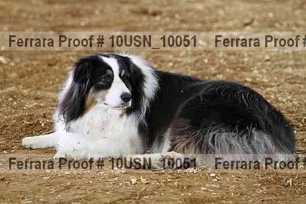 Proof 10usn_10051