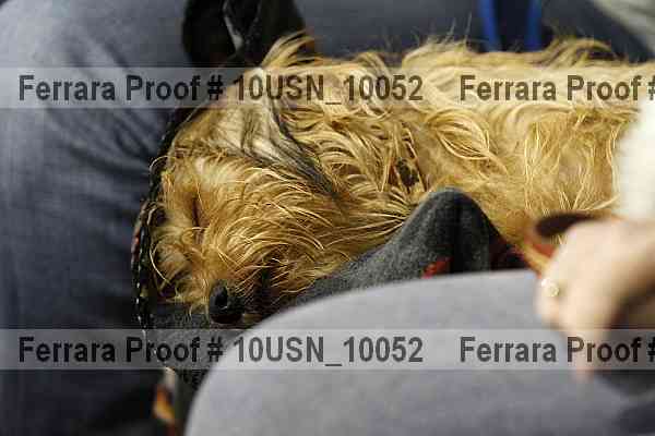 Proof 10usn_10052