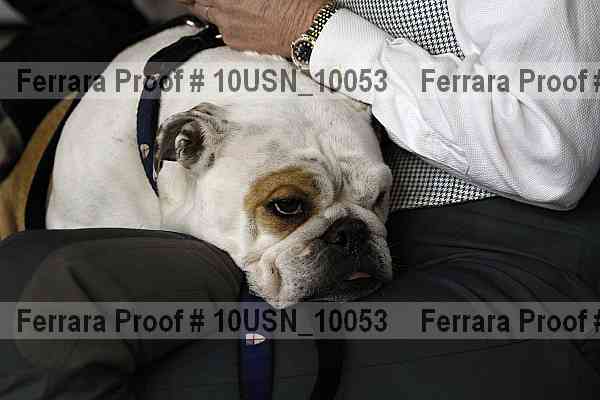 Proof 10usn_10053