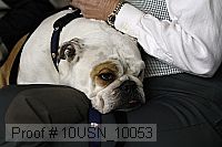 10usn_10053 proof