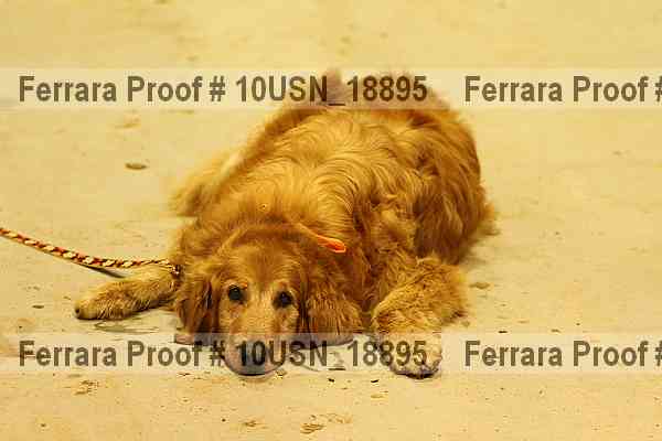 Proof 10usn_18895