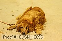 10usn_18895 proof