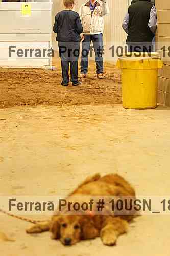 Proof 10usn_18896