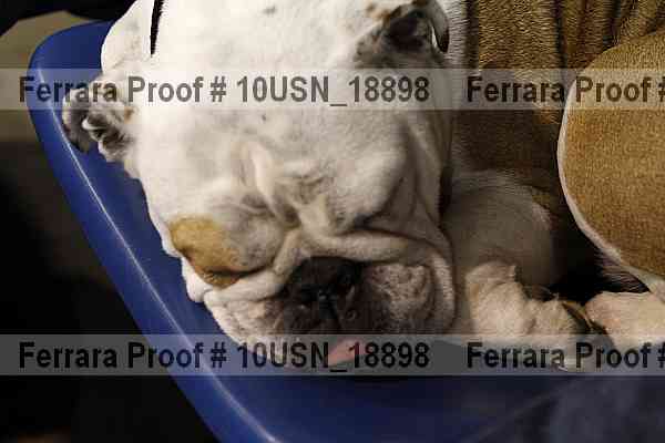 Proof 10usn_18898