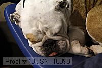 10usn_18898 proof