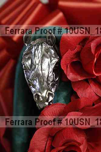 Proof 10usn_18903