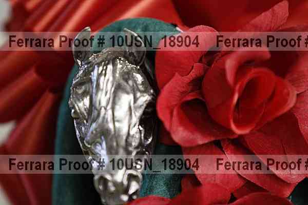 Proof 10usn_18904