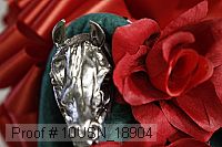10usn_18904 proof
