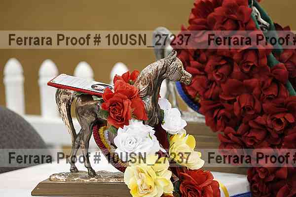 Proof 10usn_27237