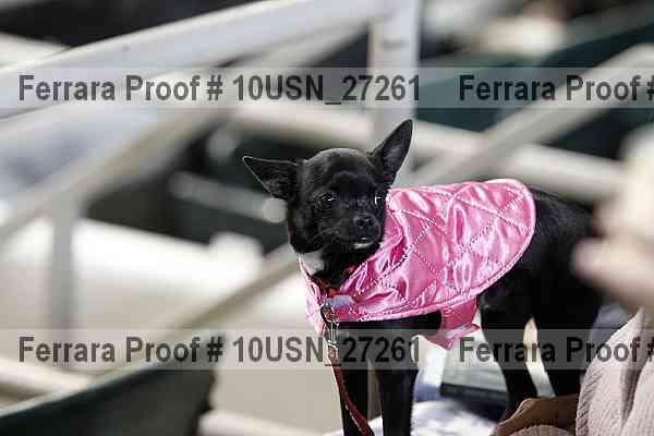 Proof 10usn_27261