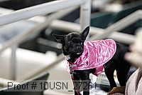 10usn_27261 proof