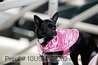 10usn_27262 proof