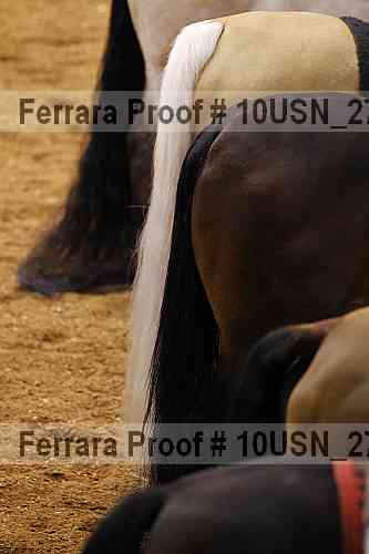 Proof 10usn_27265