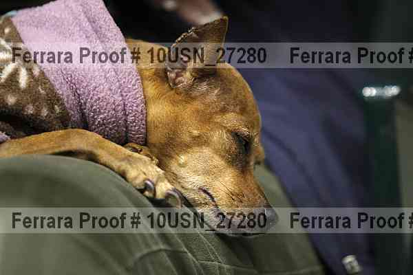 Proof 10usn_27280