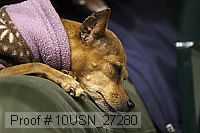 10usn_27280 proof