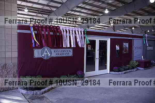 Proof 10usn_29184