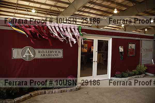 Proof 10usn_29186