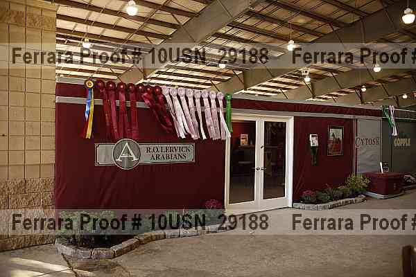 Proof 10usn_29188
