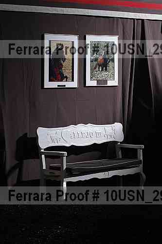 Proof 10usn_29205
