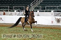 10usn_26261 proof