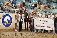 10yn-21838 proof