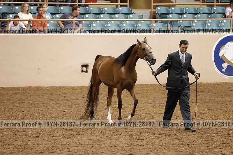 Proof 10yn-28187