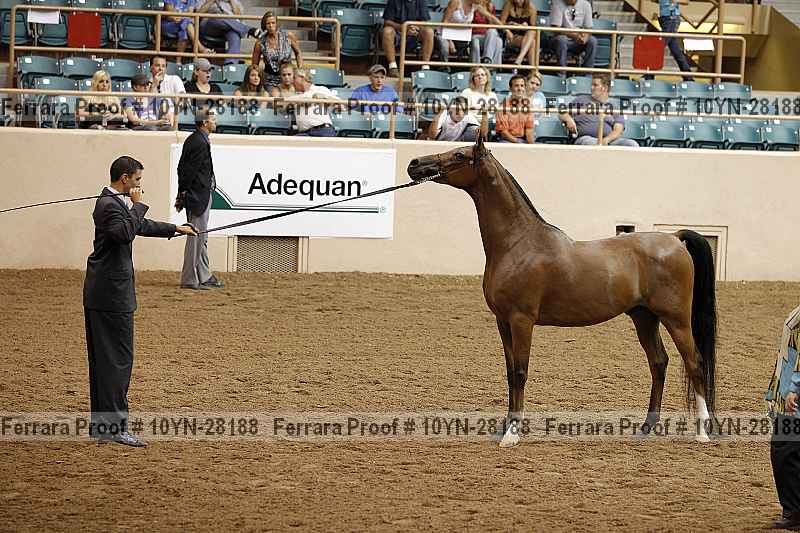 Proof 10yn-28188