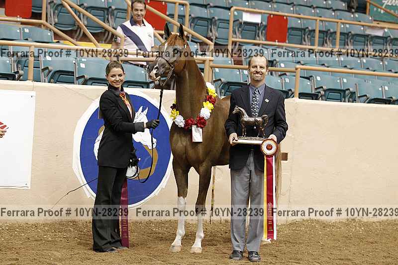 Proof 10yn-28239