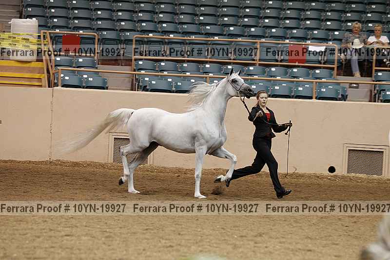 Proof 10yn-19927