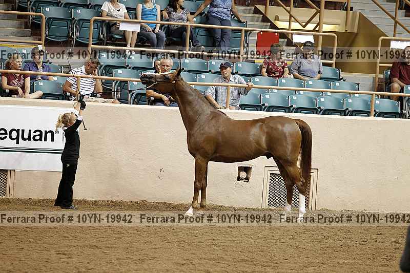 Proof 10yn-19942