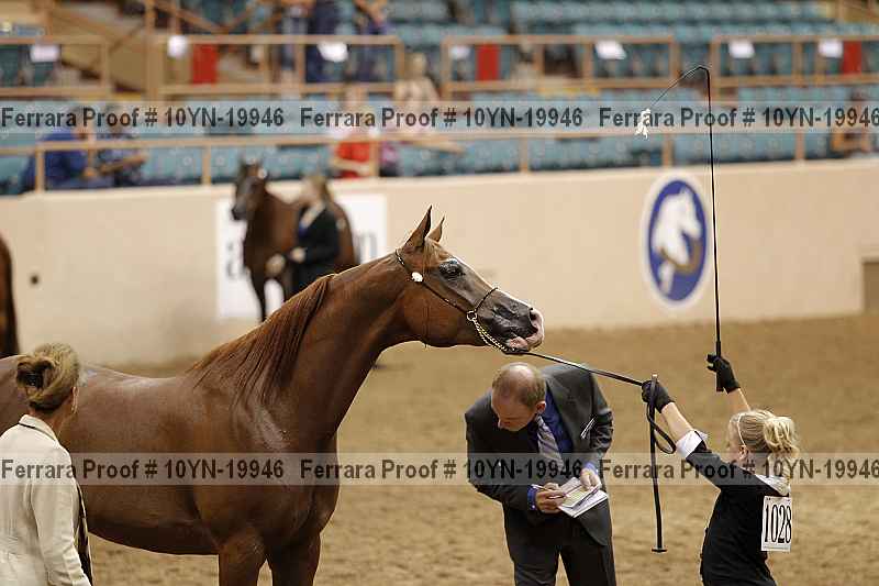 Proof 10yn-19946