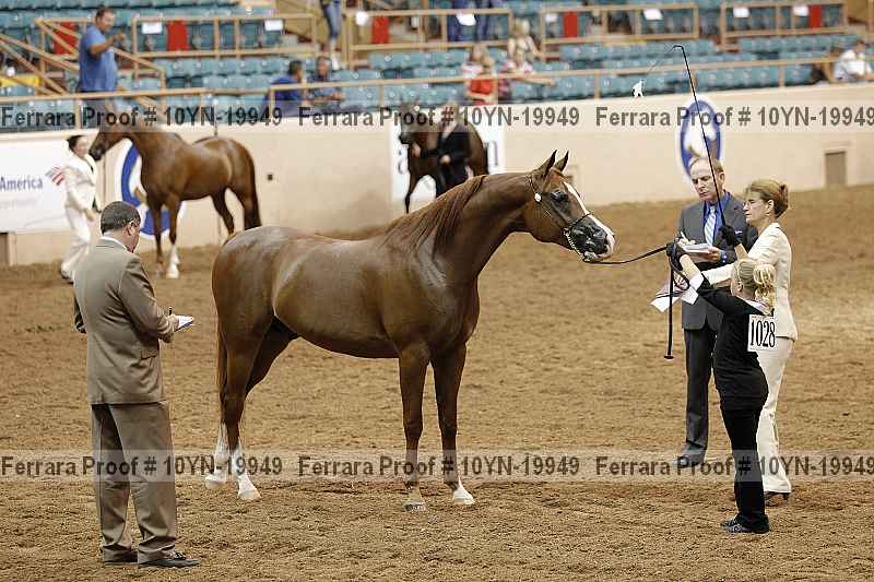 Proof 10yn-19949