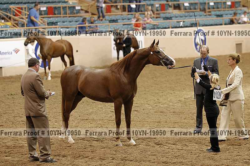 Proof 10yn-19950
