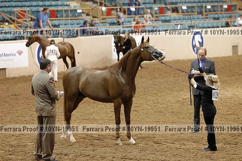 Proof 10yn-19951