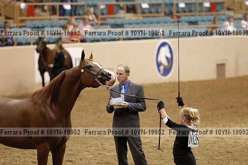 Proof 10yn-19952