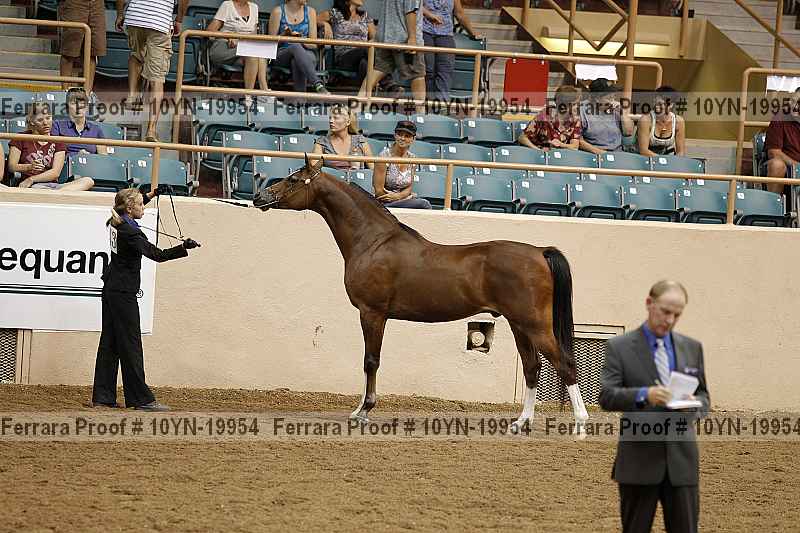 Proof 10yn-19954