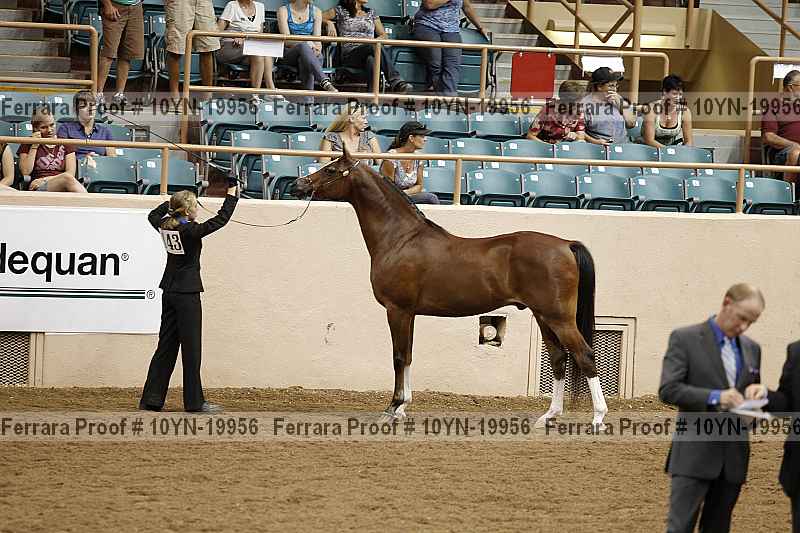 Proof 10yn-19956